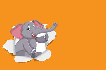 Background template design with wild elephant on orange paper