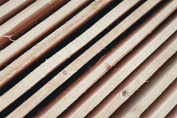 Wood and Sawmill. Large round logs harvested for construction.