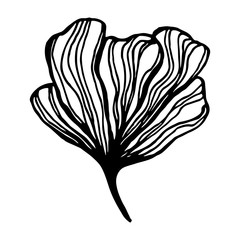 Silhouette of hand drawn flower petals. Line art vector illustration. Botanical sketch isolated on white background. Element for greeting card, poster or wedding invitation design