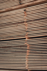 Wood and Sawmill. Large round logs harvested for construction.