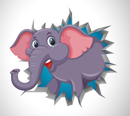 Cute elephant coming out of cracked wall