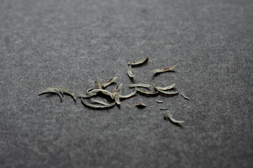 A small pile of cut human nails on a gray background