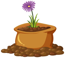 Beautiful flowers in brown bag on white background