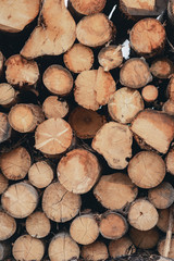 Wood and Sawmill. Large round logs harvested for construction.