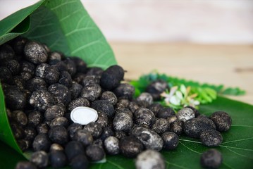 Puff ball mushrooms - most expensive famous local seasoning mushrooms for northern Thailand region