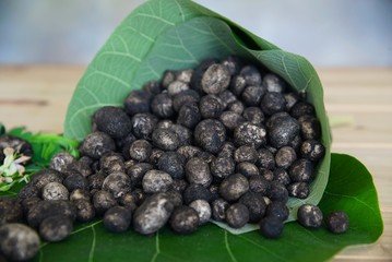 Puff ball mushrooms - most expensive famous local seasoning mushrooms for northern Thailand region