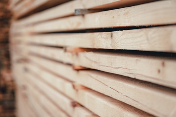 Wood and Sawmill. Large round logs harvested for construction.