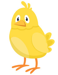 Chick three quarter view. Farm animal in cartoon style.
