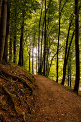 Obraz premium Forest walk road Pedestrian path leading to beautiful spring landscape, Banja Vrucica, Teslich , Teslic