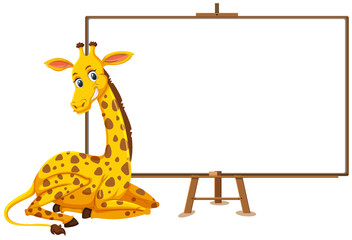 Fototapeta na wymiar Giraffe cartoon character and blank banner on white background