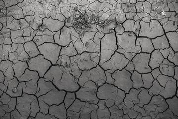 cracked earth