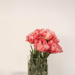 Beautiful pink peony flowers bouquet in glass vase on marble table on white background