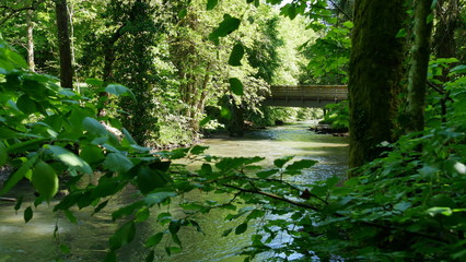 Wanderweg mit Fluss und Brücke in einem sonnendurchfluteten Mischwald