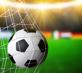 Soccer ball in the net