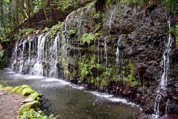 Small waterfall in Japanese forest.