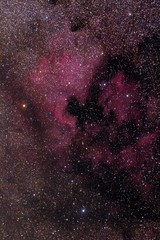 Der Nordamerikanebel im Sternbild des Schwan 