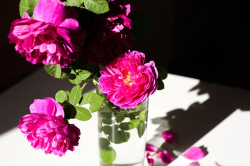 Selective focus bouquet of pink peony shaped roses at home. Summer concept. Interior decorative element.