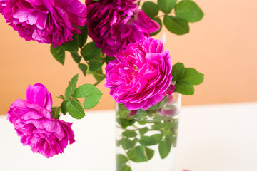 Selective focus bouquet of pink peony shaped roses at home. Summer concept. Interior decorative element.