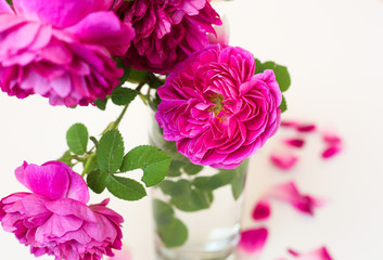 Selective focus bouquet of pink peony shaped roses at home. Summer concept. Interior decorative element.