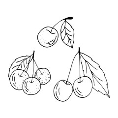 Doodle Cherry. Ripe cherry on a branch with a leaf. Freehand drawing. A set of cherries. Black lines on a white background. Cherry isolated on a white background. Vector.