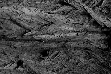 Organic texture. Abstract texture. Vintage rustic style background. Natural surface