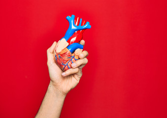 Beautiful hand of man holding artificial heart over isolated red background