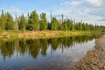 Obraz premium Forest and river.