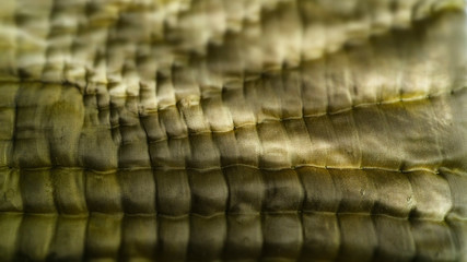 Traditional Turkish quilt. A detail from the traditional Turkish duvet.