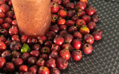 Araçá Rosa (Psidium cattleianum) fruit juice and fresh fruits