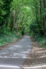 Fototapeta na wymiar The Rodwell Trail in Weymouth in Dorset, England - a scenic walk along the former Weymouth + Portland Railway line