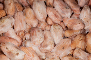 FermentaÃ§Ã£o das sementes de Cacau (Theobroma cacao); processo anterior Ã  secagem; Malvaceae