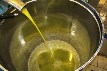 Extra virgin olive oil extraction process in olive oil mill in Greece.