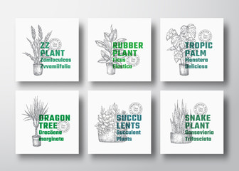 Houseplants Vector Label Templates Collection. Hand Drawn Potted Dracaena, Monstera, etc. Sketches with Modern Typography. Home Gardening Advertising Cards or Package Labels Set.
