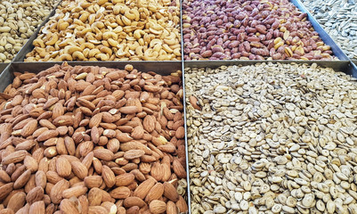 different kinds of beans