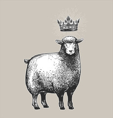 Vector Stylized Illustration of the Sheep with the crown over her head and surprised fasial expression. Vector illustration of the Queen Sheep in graphic style on the white background.
