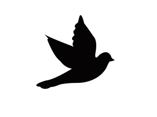 bird icon on white background.