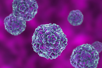Enteroviruses, a group of RNA-viruses including Echoviruses, Coxsackieviruses, Rhinoviruses and other