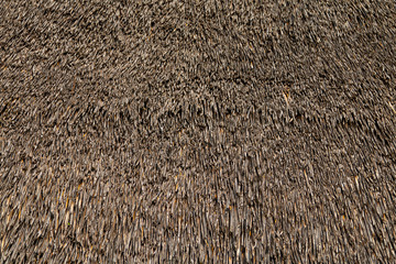 Old thatched roof texture. Close up