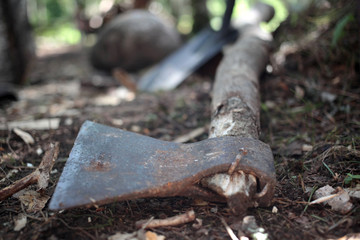 An old rusty axe is lying on the ground in the forest