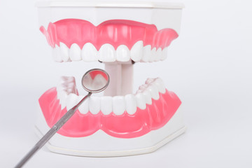dental model object and mirror on white background