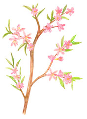 stylized spring tree with pink flowers and leaves. blooming wild almond for your design. watercolor painting