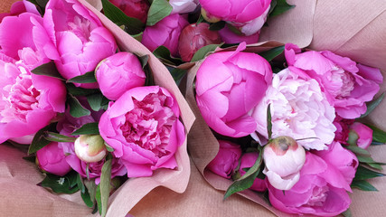 Bunches of pink peony rose flowers