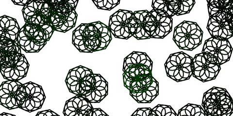 Light Green vector natural backdrop with flowers.