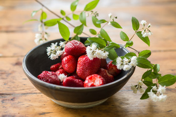 Strawberries in a Bowl