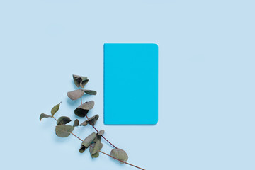 Photo on aromatherapy and mental health. Sprigs of eucalyptus on blue background with notepad.
