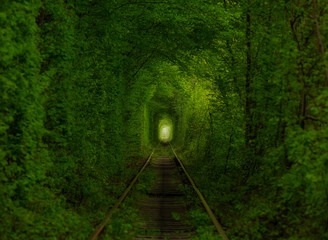 Tunnel of love famous travel destination in the forest in Ukraine