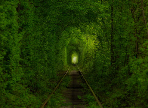 Tunnel of love famous travel destination in the forest in Ukraine