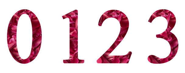0, 1, 2, 3 letters and numbers with pattern flowers. in the shape of petals. isolated. design alphabet
