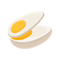 Boiled and sliced egg. Cartoon egg isolated on white background. Egg vector healthy organic food eggwhite and yolk for breakfast