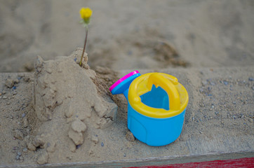toy blue watering can next to a flower in the sand